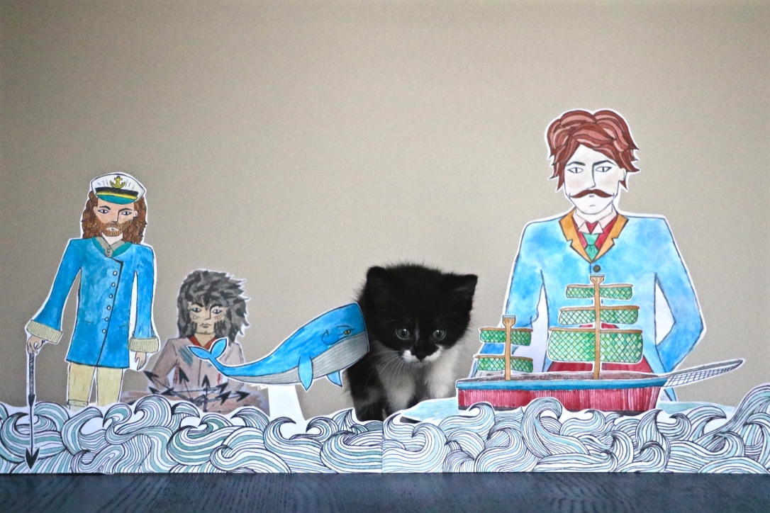 22053377566_2d9de912d7_o